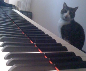 Cat at a piano